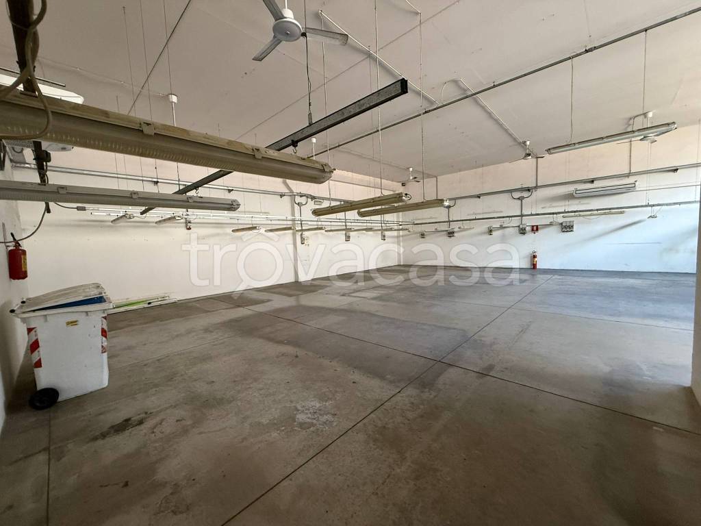 immagine annuncio 3 di 6