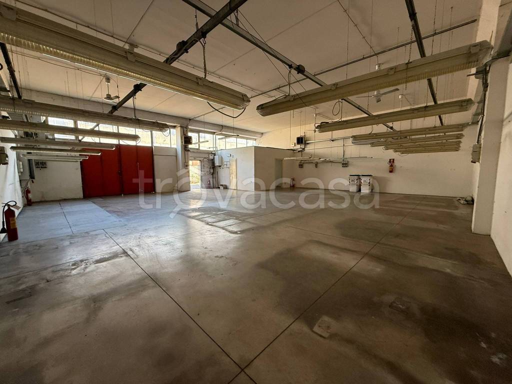 immagine annuncio 4 di 6