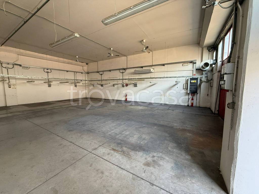 immagine annuncio 1 di 6