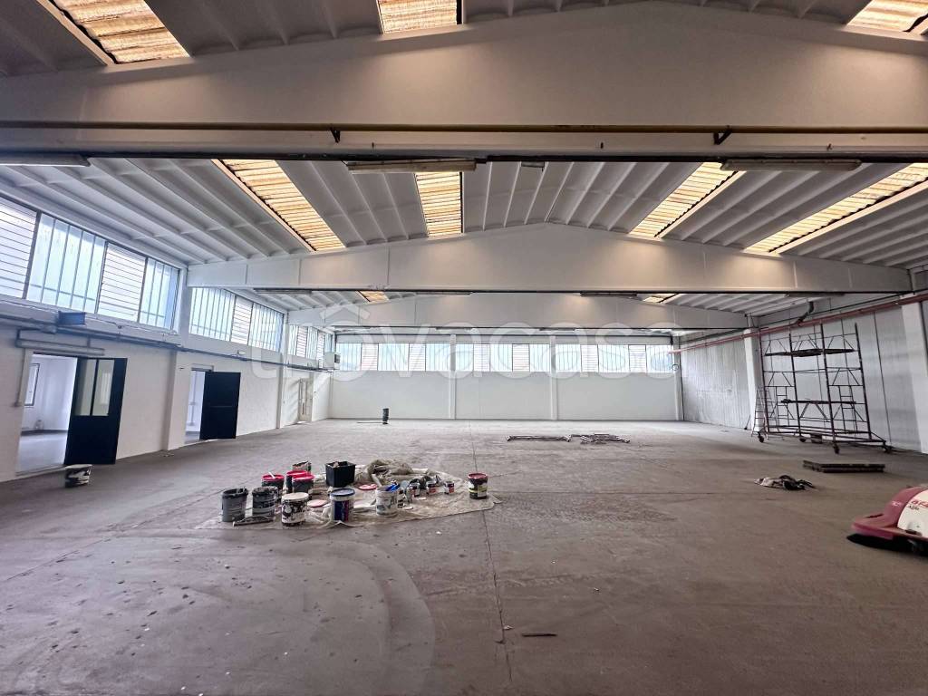 immagine annuncio 1 di 13