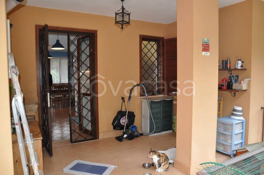 immagine annuncio 7 di 10