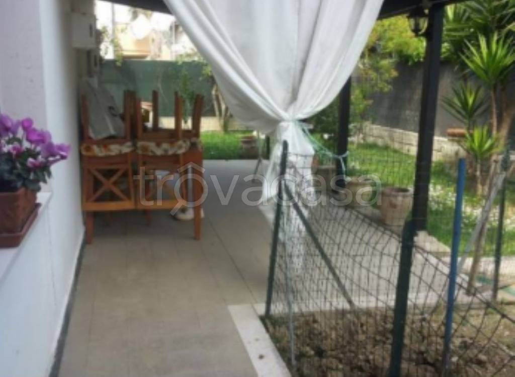 immagine annuncio 3 di 12