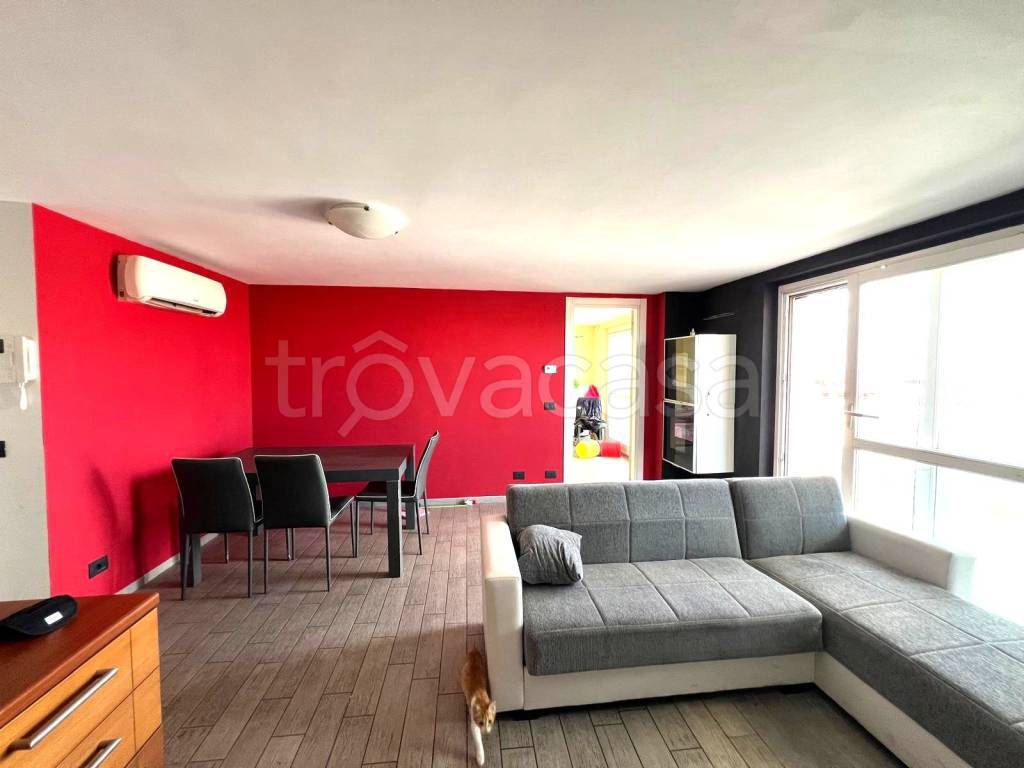 immagine annuncio 9 di 15