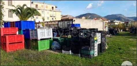 immagine annuncio 2 di 7