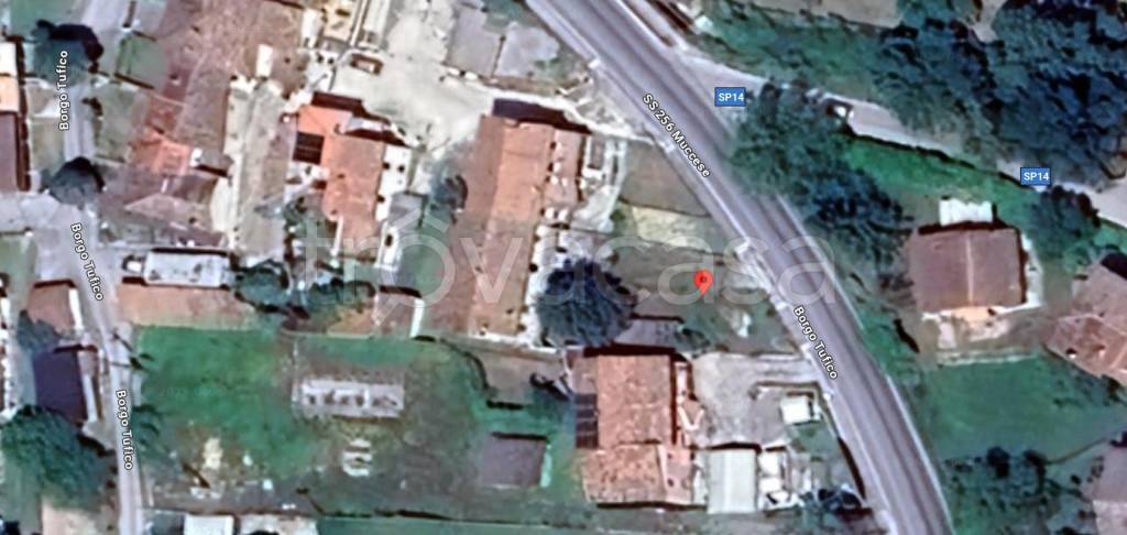 immagine annuncio 11 di 12