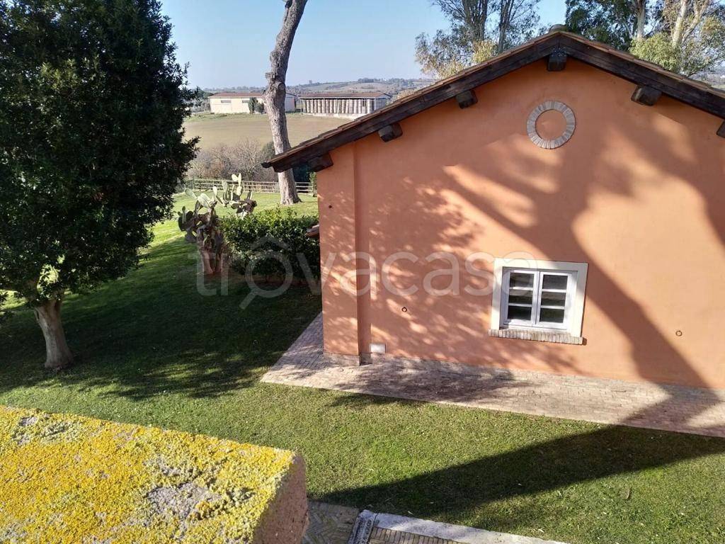 immagine annuncio 10 di 12