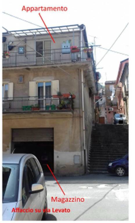 immagine annuncio 1 di 14