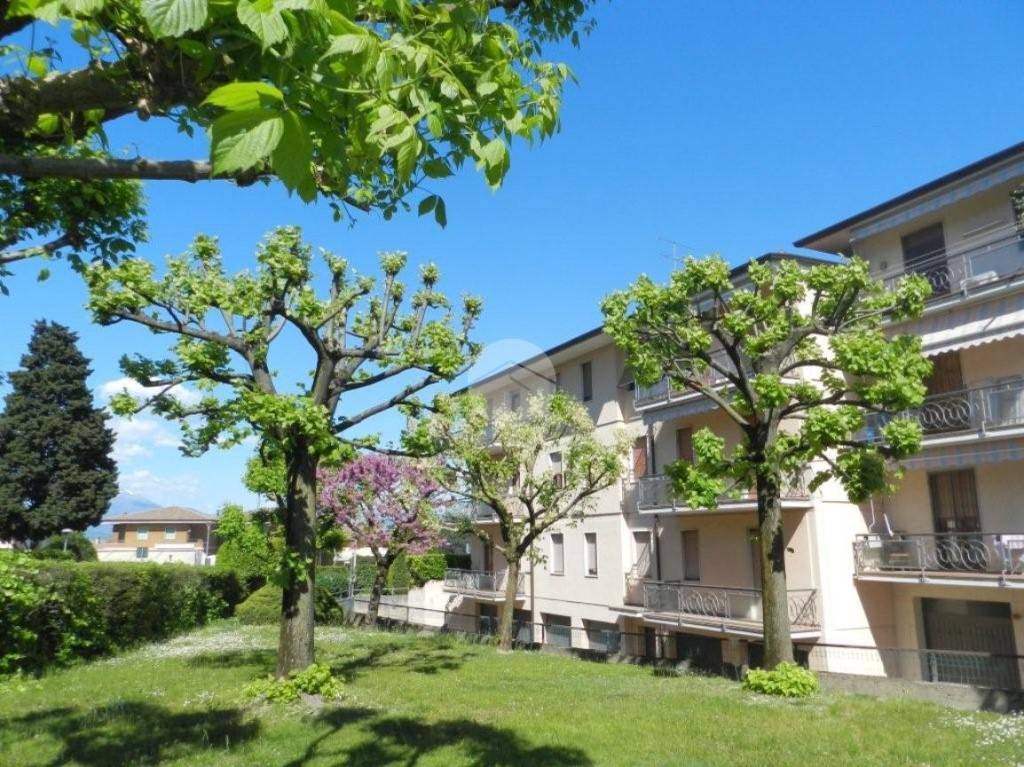 immagine annuncio 2 di 13