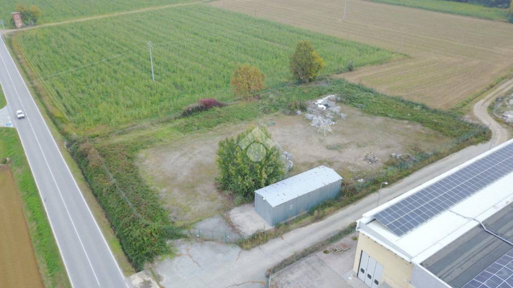 immagine annuncio 2 di 11