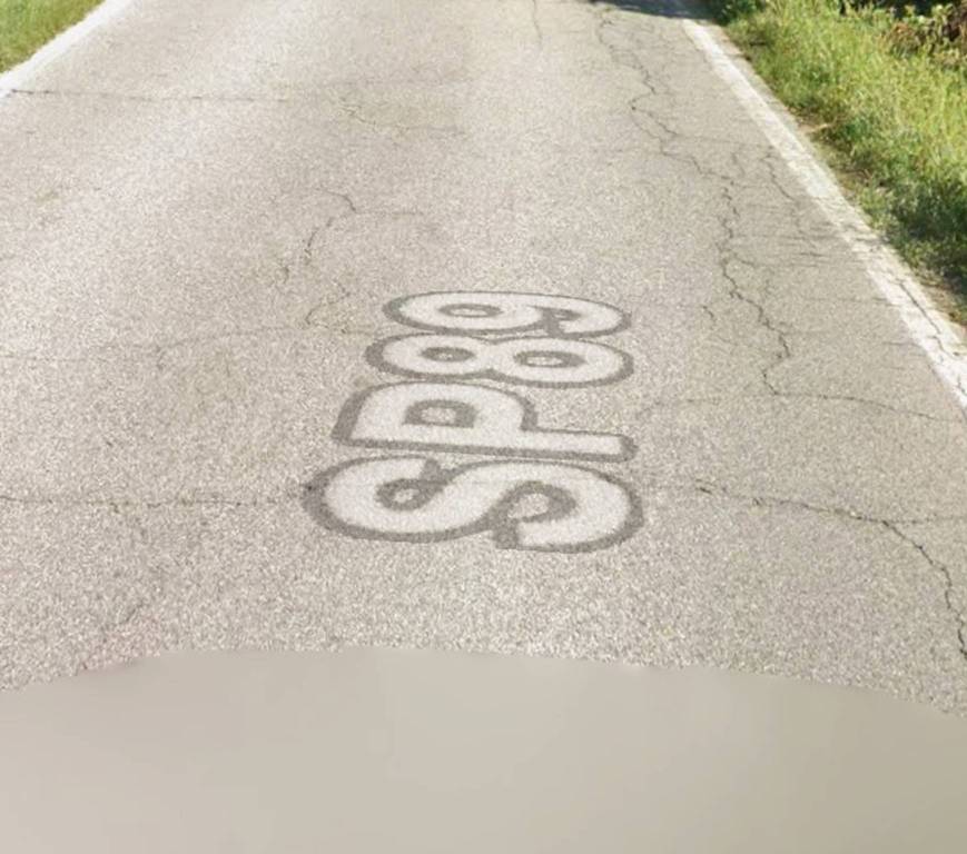 immagine annuncio 3 di 11