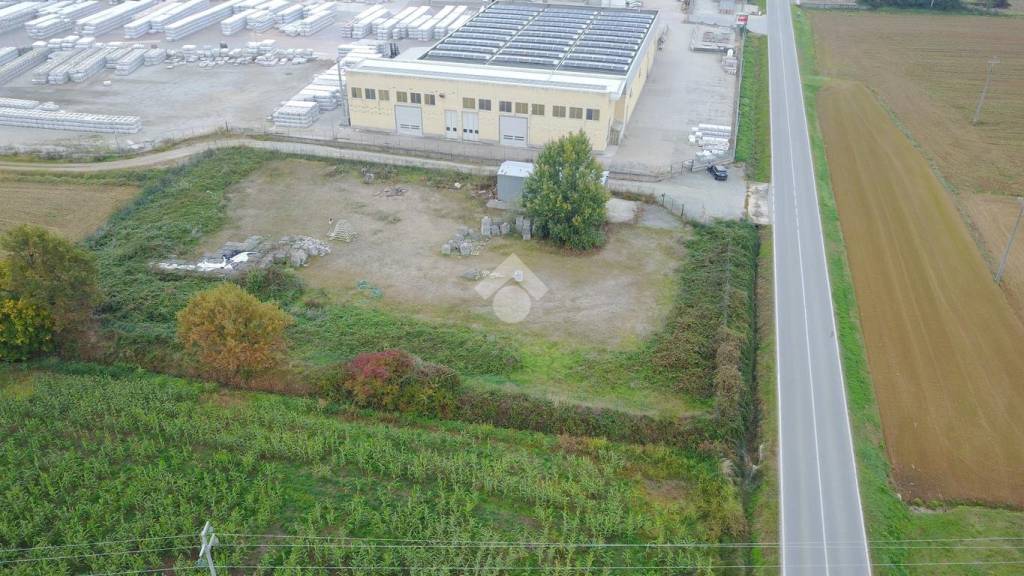 immagine annuncio 5 di 11