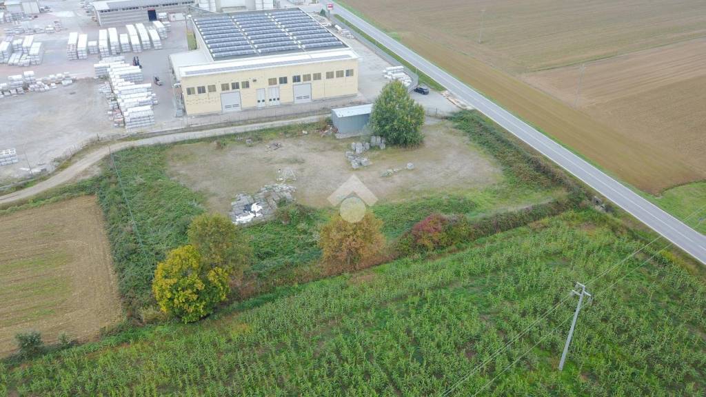 immagine annuncio 6 di 11