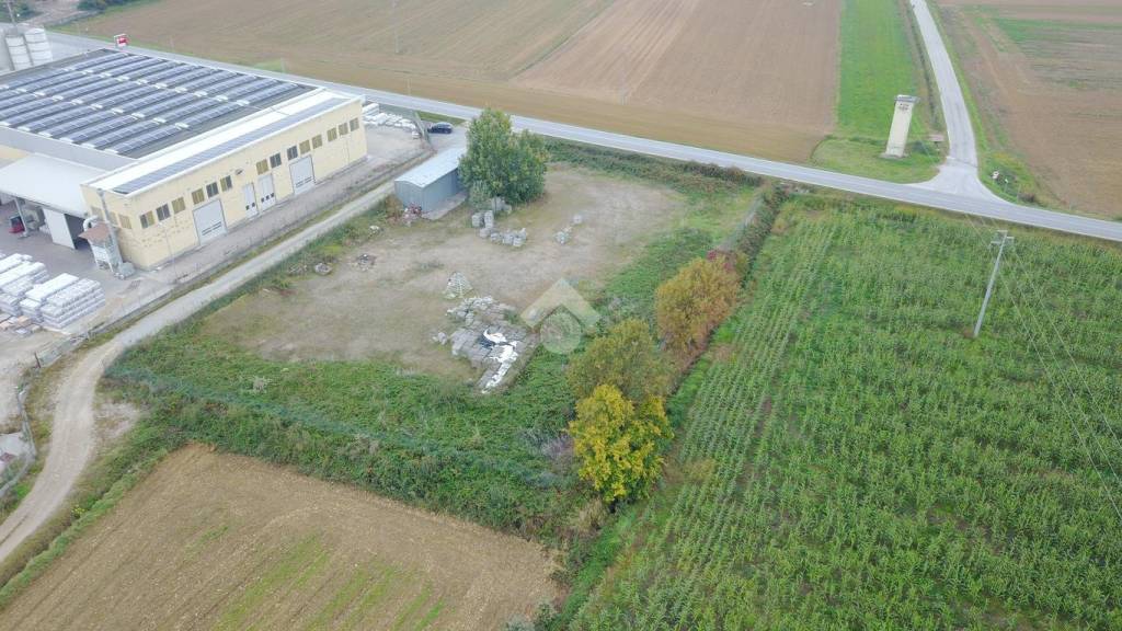 immagine annuncio 7 di 11