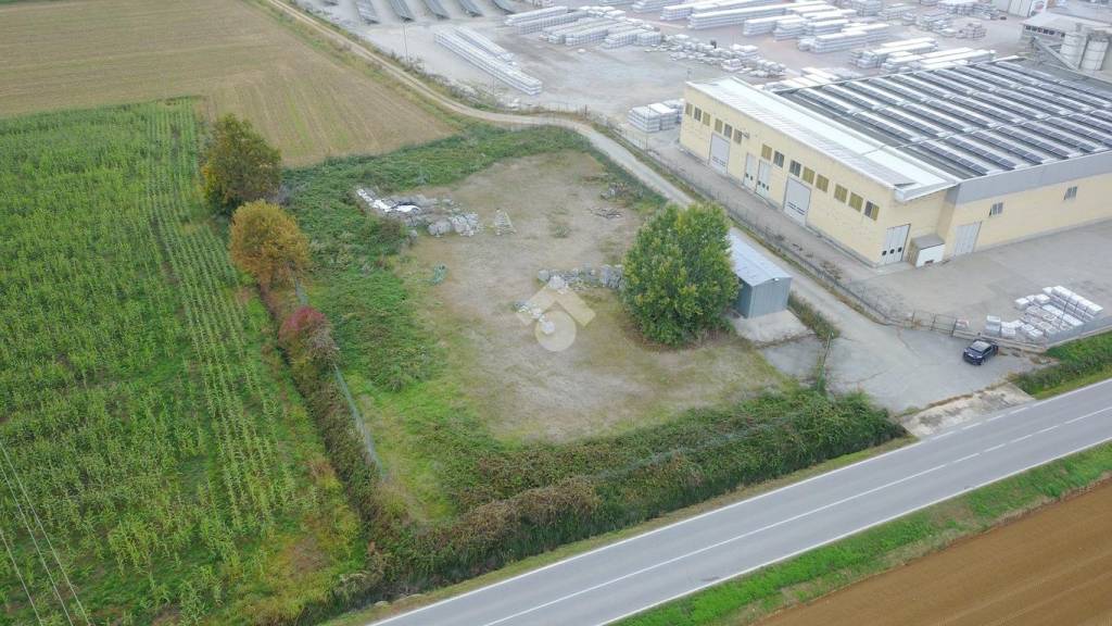 immagine annuncio 9 di 11