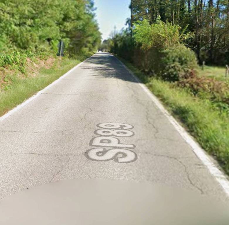 immagine annuncio 4 di 11