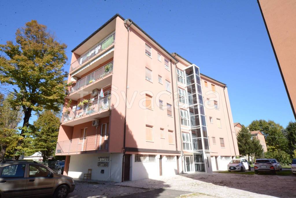 immagine annuncio 12 di 13