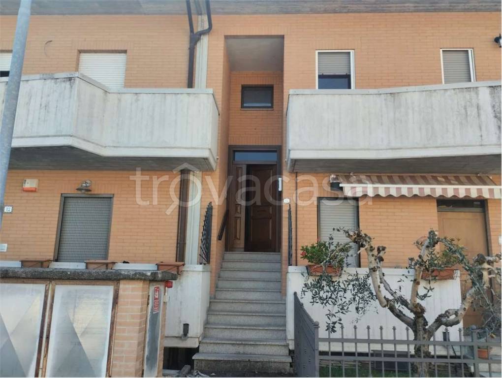 immagine annuncio 1 di 14