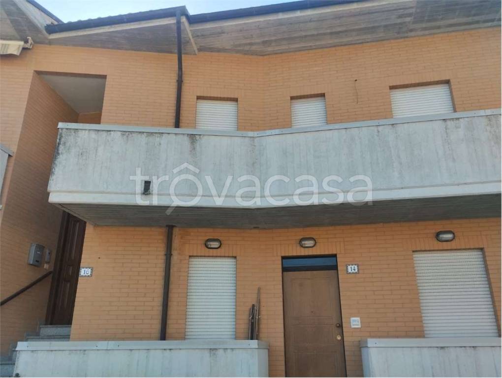 immagine annuncio 3 di 14