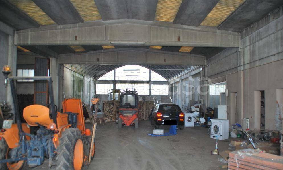 immagine annuncio 11 di 15