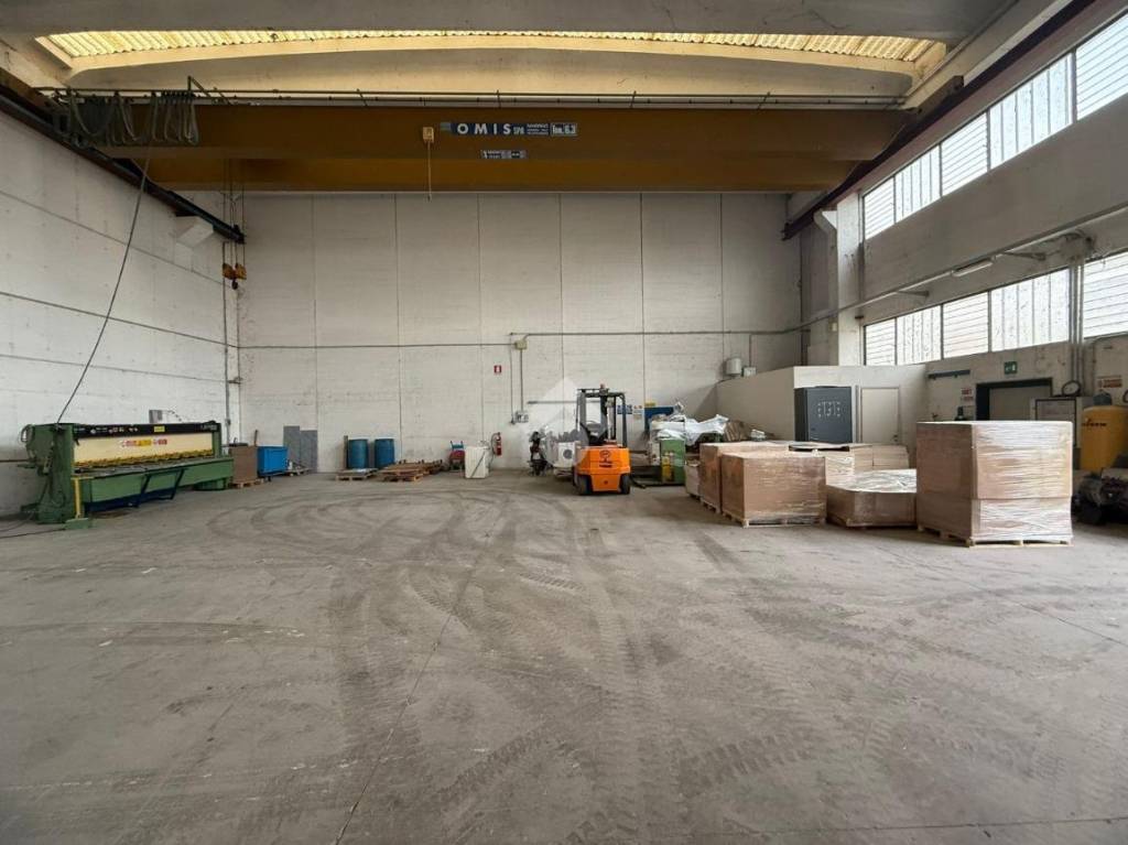 immagine annuncio 3 di 15