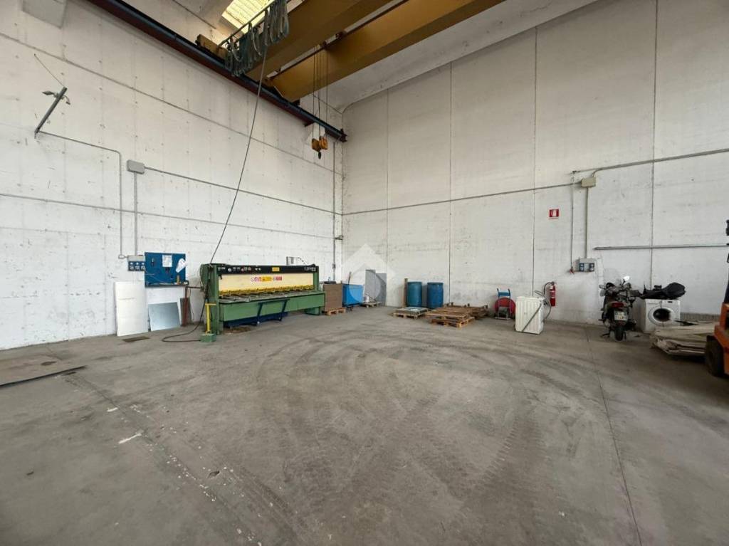 immagine annuncio 7 di 15