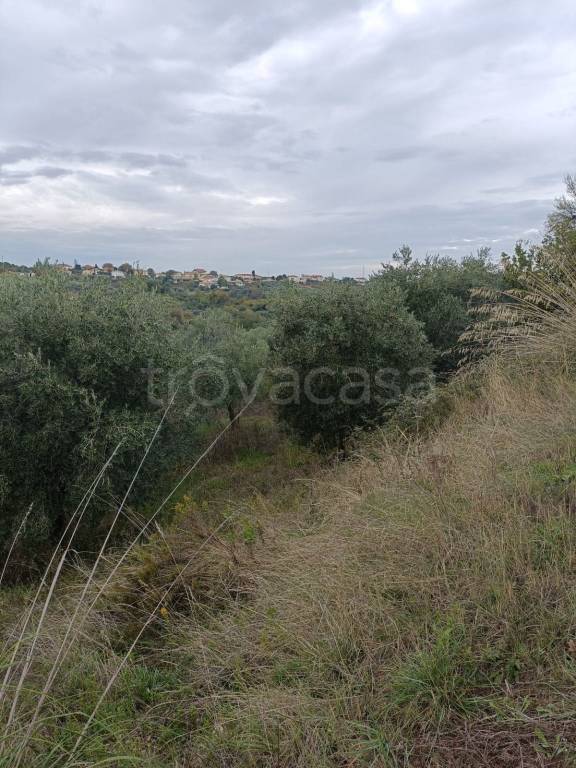 immagine annuncio 1 di 7