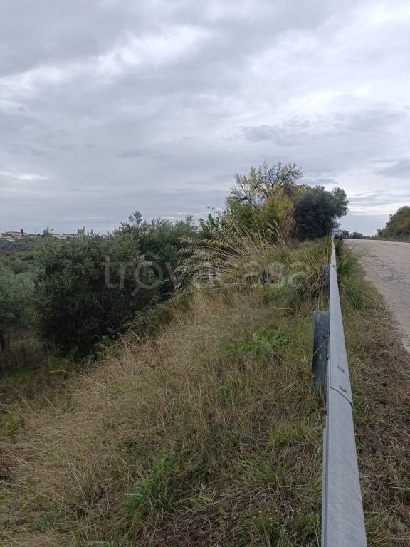 immagine annuncio 2 di 7