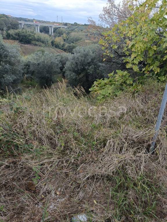 immagine annuncio 4 di 7