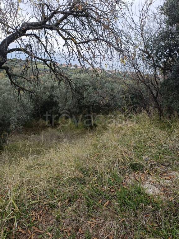 immagine annuncio 5 di 7