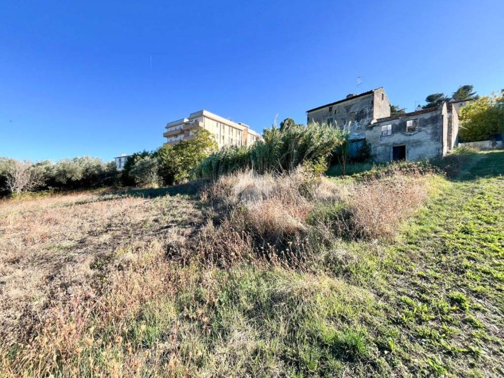 immagine annuncio 6 di 12