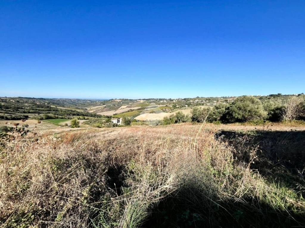 immagine annuncio 7 di 12