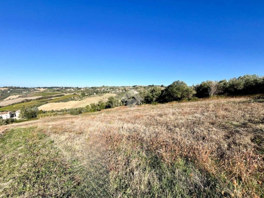 immagine annuncio 9 di 12