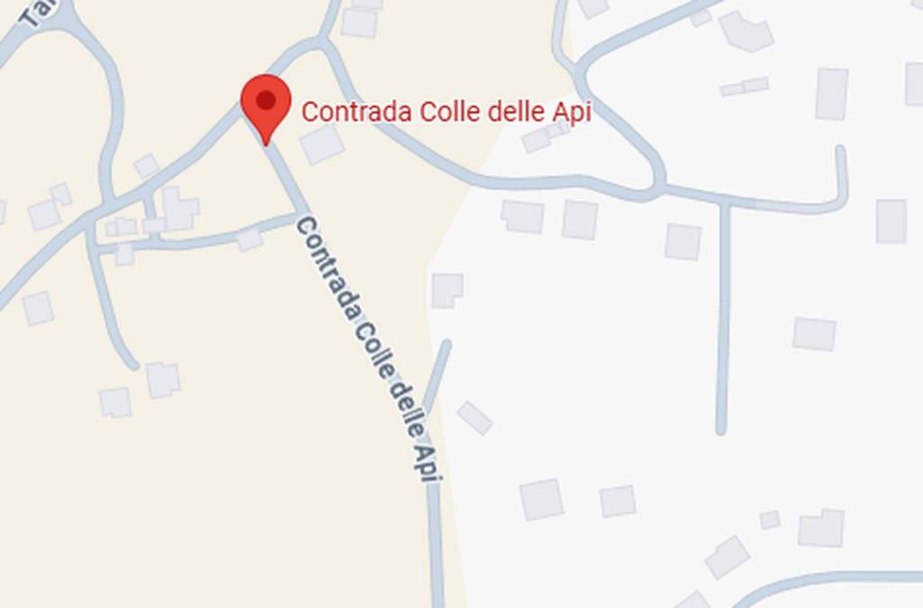 immagine annuncio 11 di 12