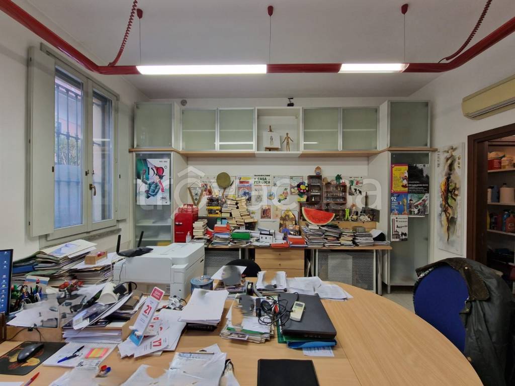 immagine annuncio 11 di 14