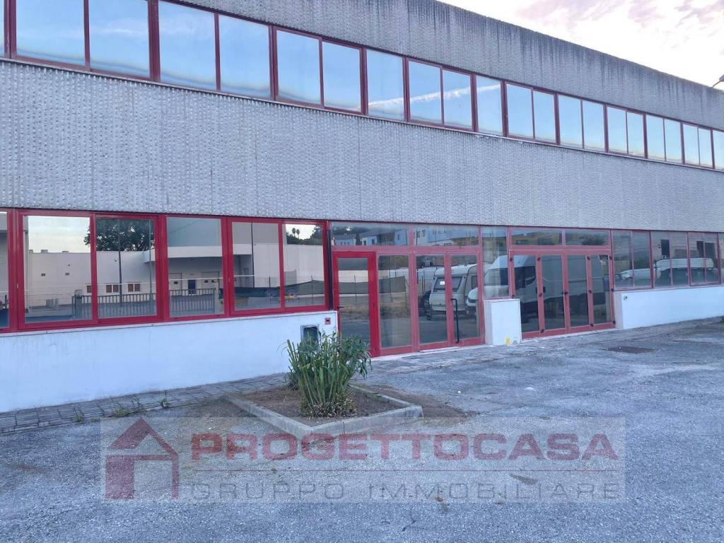 immagine annuncio 2 di 7