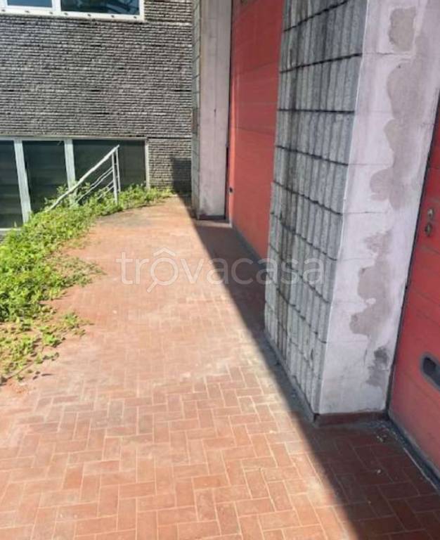 immagine annuncio 10 di 11