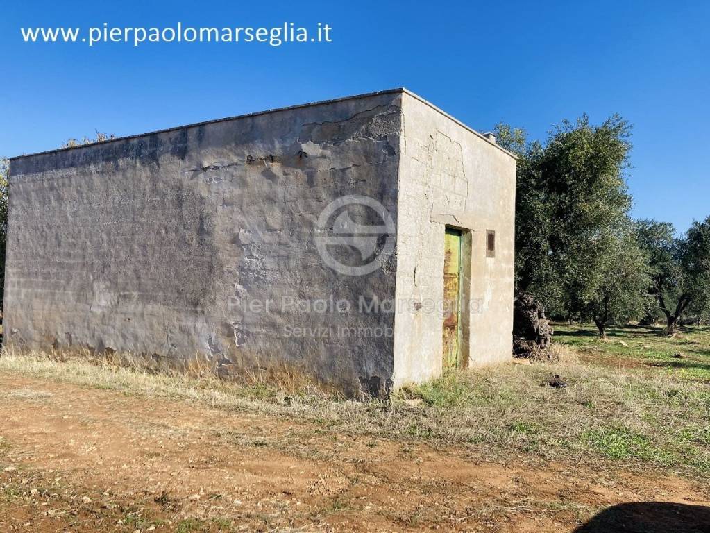 immagine annuncio 2 di 10