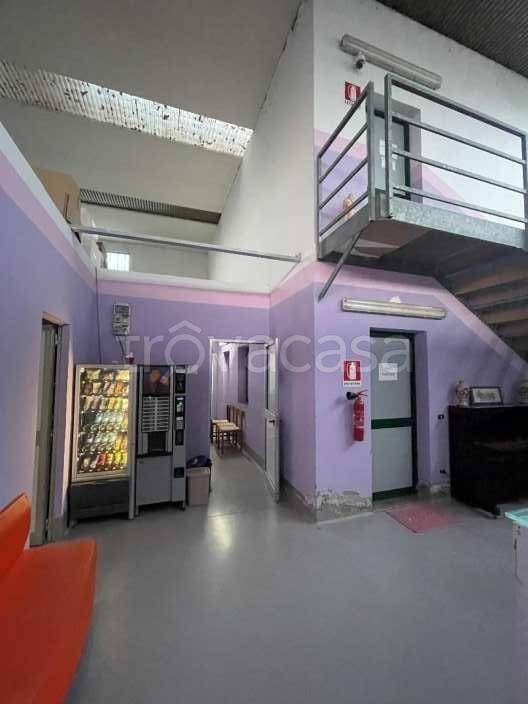 immagine annuncio 14 di 15