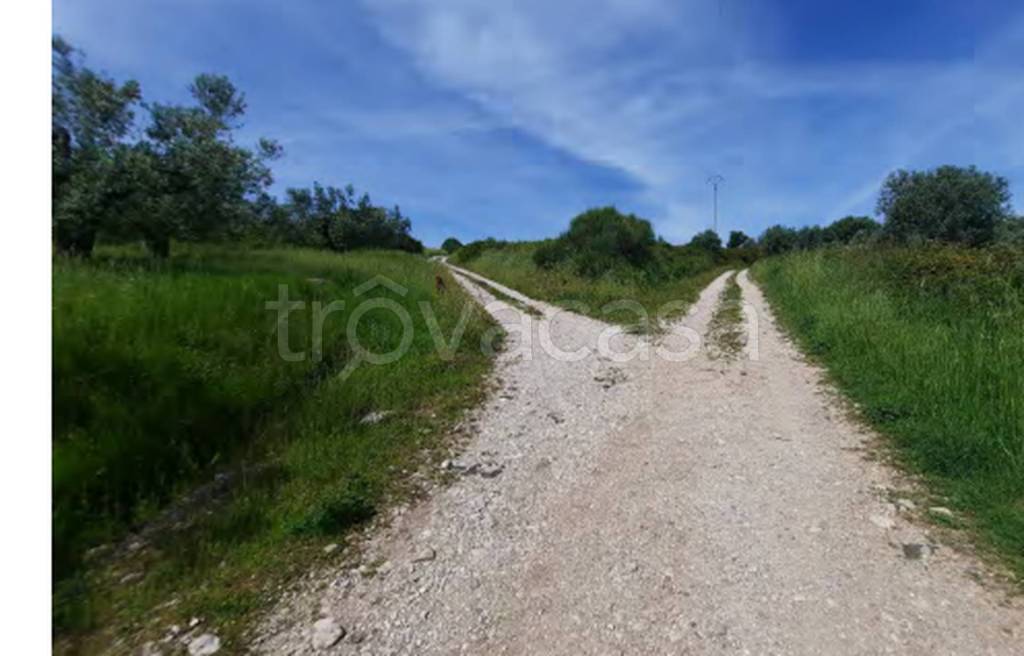 immagine annuncio 5 di 10