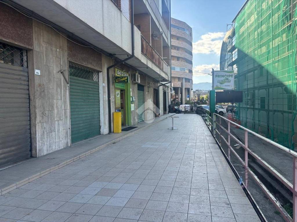 immagine annuncio 5 di 14