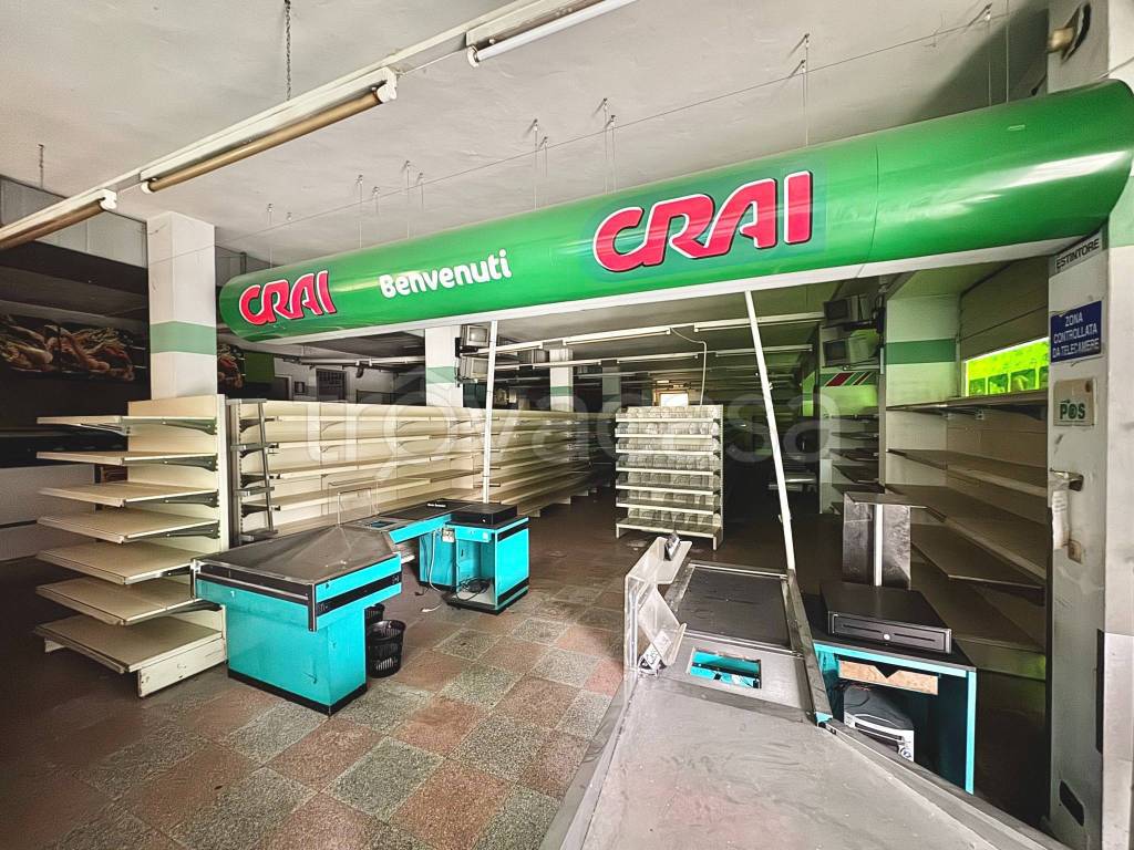 immagine annuncio 10 di 14