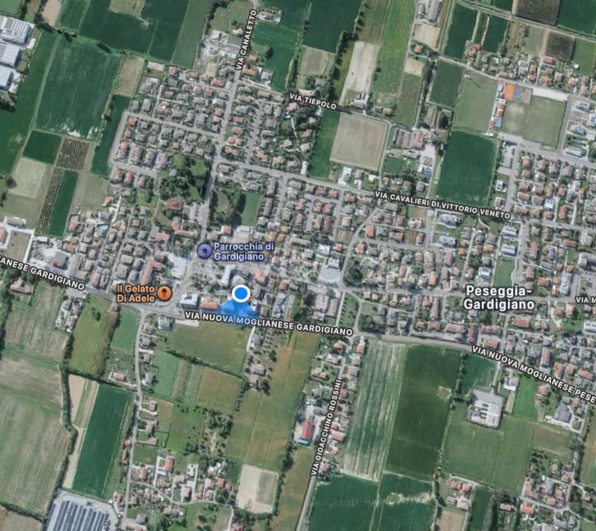 immagine annuncio 11 di 14