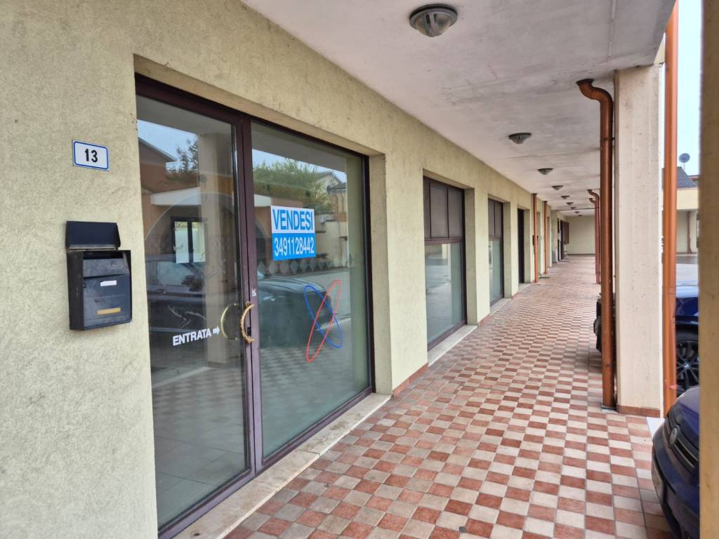 immagine annuncio 7 di 15