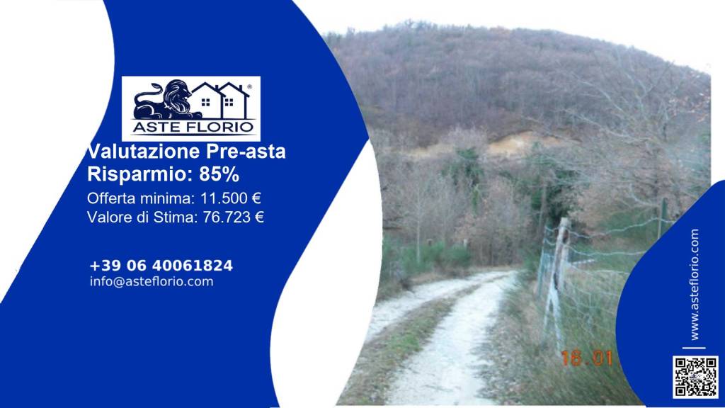 immagine annuncio 1 di 14