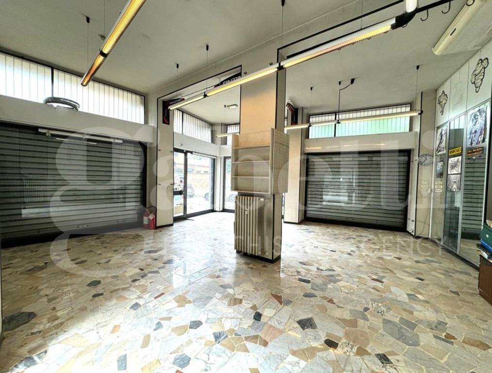 immagine annuncio 3 di 14