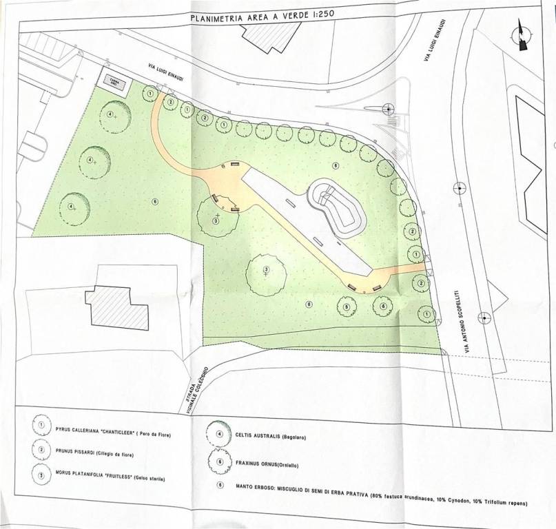 immagine annuncio 1 di 15