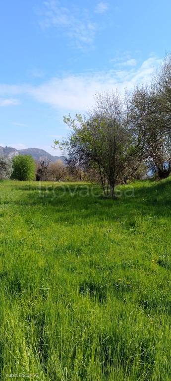 immagine annuncio 7 di 11