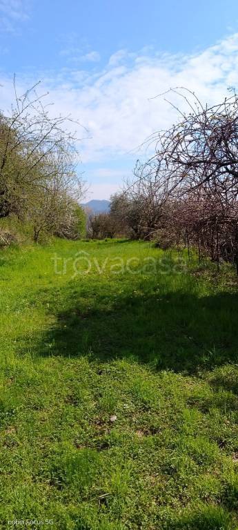 immagine annuncio 8 di 11