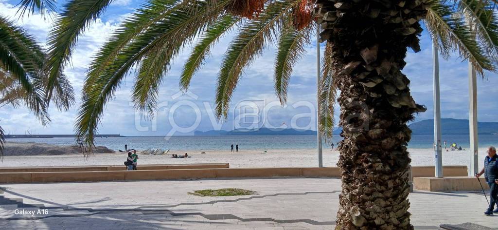 immagine annuncio 7 di 9