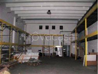 immagine annuncio 2 di 8